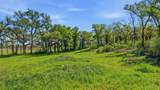 1005 Carter Lane - Photo 3