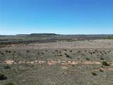 TBD County Rd 206 - Photo 17