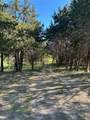 1744 Winchester Drive - Photo 2