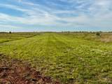 3599 County Road 413 - Photo 13