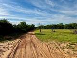 3599 County Road 413 - Photo 6