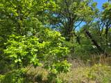 Lot 699 Shady Grove Road - Photo 5