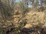 1179 Gonzollas Road - Photo 7