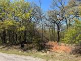 1000 Crazy Horse Trail - Photo 10