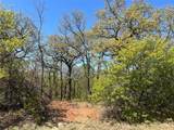 1000 Crazy Horse Trail - Photo 9