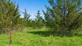 TBD LOT 1 County Road 43380 - Photo 12