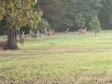 10227 County Road 4101 - Photo 39
