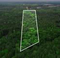 TBD 10 Acres Cr 1113 - Photo 1