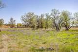 113 Dan Russell Bend - Photo 20