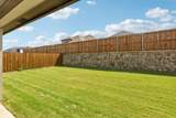 934 Olive Drive - Photo 8