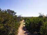 TBD County Road 402 - Photo 28