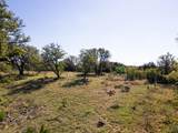 TBD County Road 402 - Photo 30