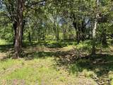 441 Cr 167 Road - Photo 3