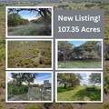 198 County Road 259 - Photo 1