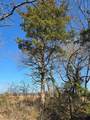 tbd County Road 4612 - Photo 9