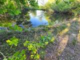 TBD County Road 4120 - Photo 6