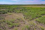 100 Acres Fm 2950 - Photo 11