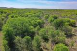 100 Acres Fm 2950 - Photo 19
