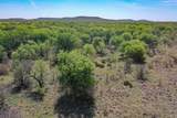 100 Acres Fm 2950 - Photo 21