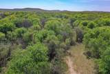 100 Acres Fm 2950 - Photo 22