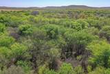100 Acres Fm 2950 - Photo 24
