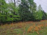 7413 Quail Hollow Court - Photo 3