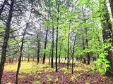 7413 Quail Hollow Court - Photo 4