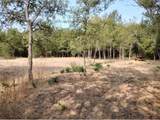 4139 Vista Oak Drive - Photo 11