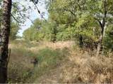 4139 Vista Oak Drive - Photo 16