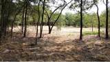 4139 Vista Oak Drive - Photo 3