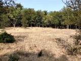 4139 Vista Oak Drive - Photo 6