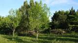 TBD Lot 1-4 Adams Road - Photo 18
