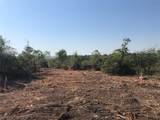 8440 Caradale Court - Photo 4