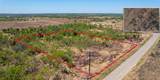 Lot 26 Palmito Rnch Road - Photo 2