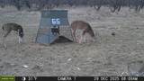 tbd Tbd County Rd 291 - Photo 12