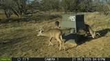 tbd Tbd County Rd 291 - Photo 8