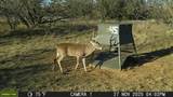 tbd Tbd Cntty Rd 291 - Photo 5