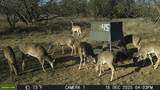 tbd Tbd Cntty Rd 291 - Photo 6