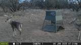 tbd Tbd Cntty Rd 291 - Photo 7