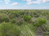 16820 County Road 429 - Photo 17