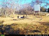 16820 County Road 429 - Photo 5