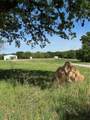 2618 County Road 1370 - Photo 1