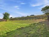 10917 Swift Current Trail - Photo 29