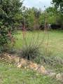 403 Avenue E Avenue - Photo 9