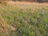 TBD Cr 1125 - Photo 3