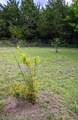TBD County Rd 663 - Photo 17
