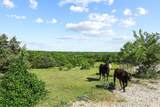 432 Acres Slickum Slough Road - Photo 18