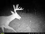 432 Acres Slickum Slough Road - Photo 4