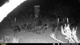 TBD Cr 133 - Photo 16