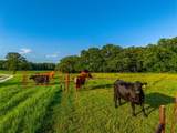 141 County Road 4793 - Photo 4
